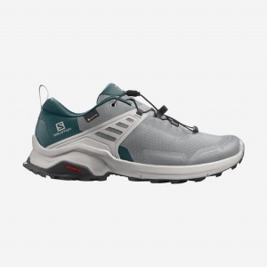 Chaussure de Randonnée Salomon X RAISE GORE-TEX Homme Grise Foncé Turquoise | EBXQR-2087