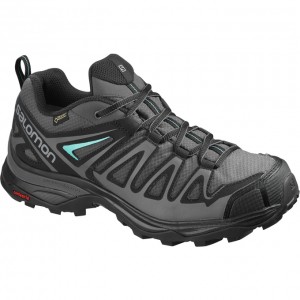 Chaussure de Randonnée Salomon X ULTRA 3 PRIME GTX W Femme Argent Noir | FNKMO-6194