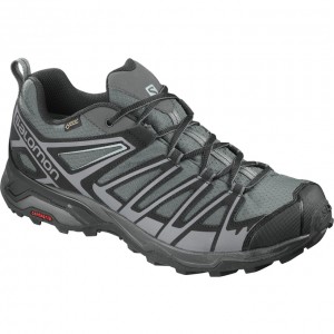 Chaussure de Randonnée Salomon X ULTRA 3 PRIME GTX Homme Argent Noir | FBYNH-0645