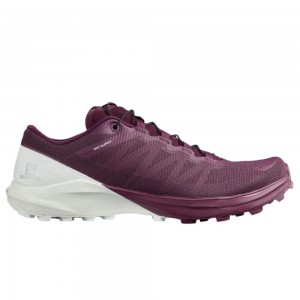 Chaussures Running Route Salomon SENSE PRO 4 W Femme Violette | DMUZJ-8729