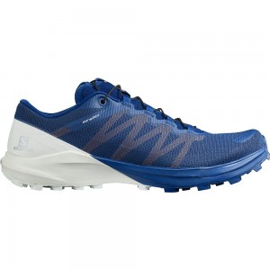 Chaussures Running Route Salomon SENSE PRO 4 Homme Bleu Marine | VCBMU-7892