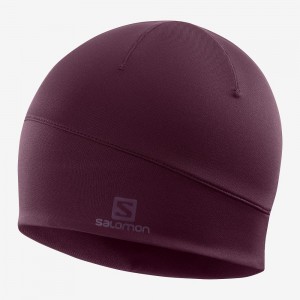 Couvre-chef Salomon ACTIVE Homme Violette | UCMSI-6723