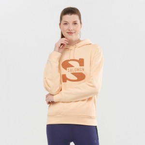 Pulls De Golf Salomon OUTLIFE LOGO SUMMER Hooded Femme Beige | TFJBE-0261