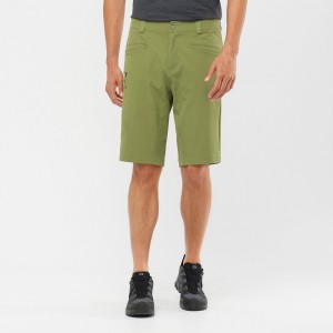 Short Salomon WAYFARER ALL SEASON STRAIGHT M Homme Vert Olive Vert | QSIWF-2867