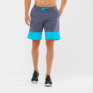 Short Salomon XA TRAINING Homme Grise Bleu | WTLOQ-6870