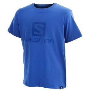 T Shirts Salomon ACHIEVE SS B Enfant Bleu | JFGOA-0264