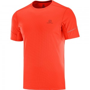 T Shirts Salomon AGILE SS M Homme Orangered | LEVYS-3180