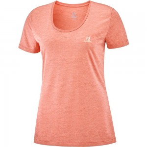 T Shirts Salomon AGILE SS W Femme Corail | PQCIE-1349