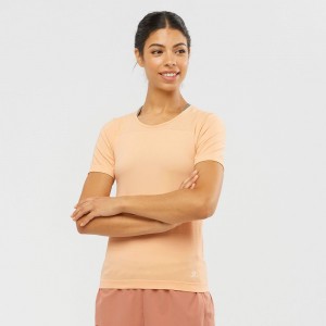 T Shirts Salomon ESSENTIAL MOVE ON SEAMLESS Femme Beige | AJRMG-7143