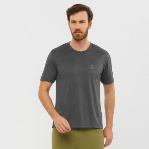 T Shirts Salomon EXPLORE M Short Sleeve Homme Grise | WBAOI-6854