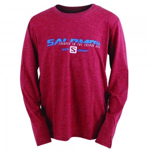 T Shirts Salomon FAST FORWARD LS M Homme Rouge | SRYXU-3874