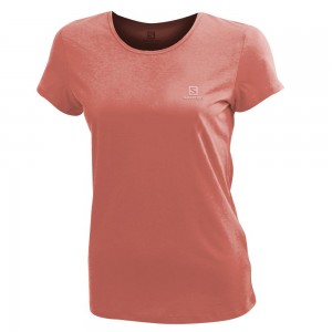 T Shirts Salomon LOGO SS W Femme Corail | ZGNTI-7024