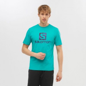 T Shirts Salomon OUTLIFE LOGO Short Sleeve Homme Menthe | ACWJT-8475