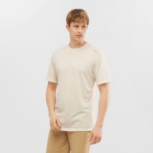 T Shirts Salomon OUTLIFE MERINO SS M Short Sleeve Homme Beige | JTPMO-1478