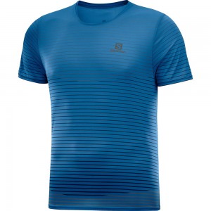 T Shirts Salomon SENSE M Homme Bleu | RBQPE-4817