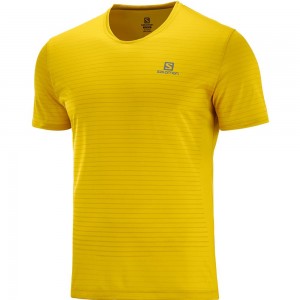 T Shirts Salomon SENSE M Homme Jaune | JRIOY-8960