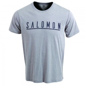 T Shirts Salomon UNDERSCORE SS M Homme Grise | LYZKQ-8034