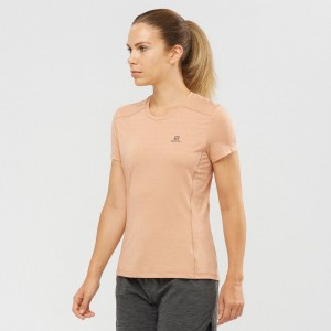 T Shirts Salomon XA Femme Beige | REGZD-4106