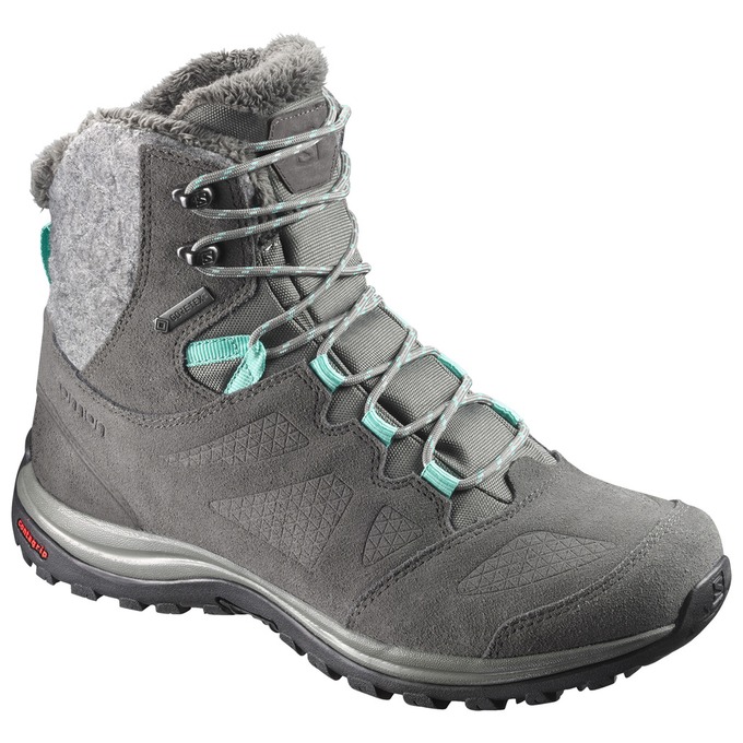 Botte Hiver Salomon ELLIPSE GTX Femme Grise Foncé | RYVTS-6159