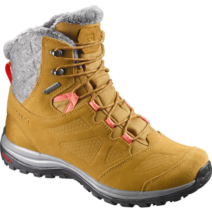 Botte Hiver Salomon ELLIPSE GTX Femme Marron | NWQSF-2586