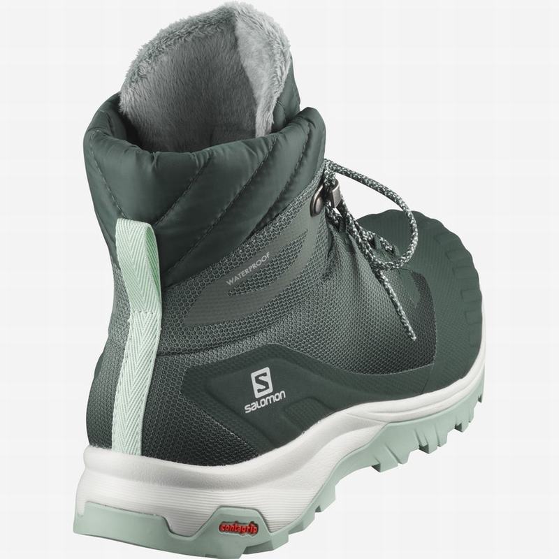 Botte Hiver Salomon VAYA BLAZE THINSULATE CLIMASALOMON WATERPROOF Femme Vert | COWEQ-0924