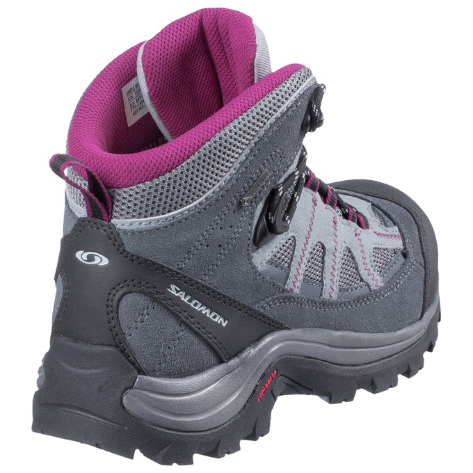 Botte Randonnée Salomon AUTHENTIC LTR GTX W Femme Argent Violette | QKIWE-1569