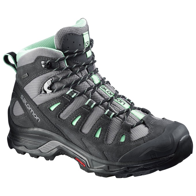 Botte Randonnée Salomon QUEST PRIME GTX W Femme Noir Argent | STBFR-2457