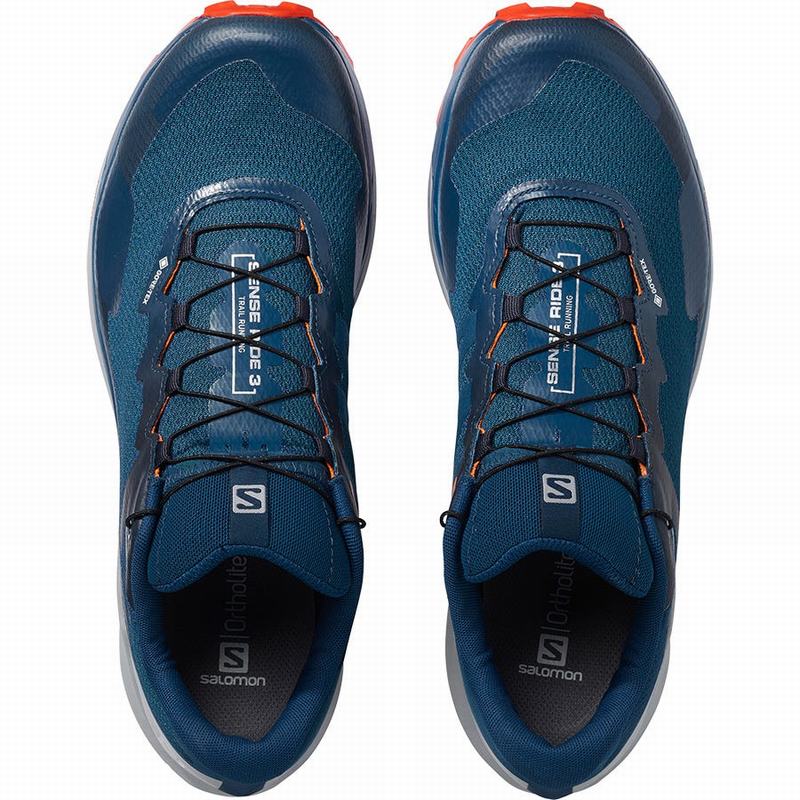 Chaussure Running Salomon SENSE RIDE 3 GTX INVIS. FIT Homme Bleu Marine | EKPIU-1480