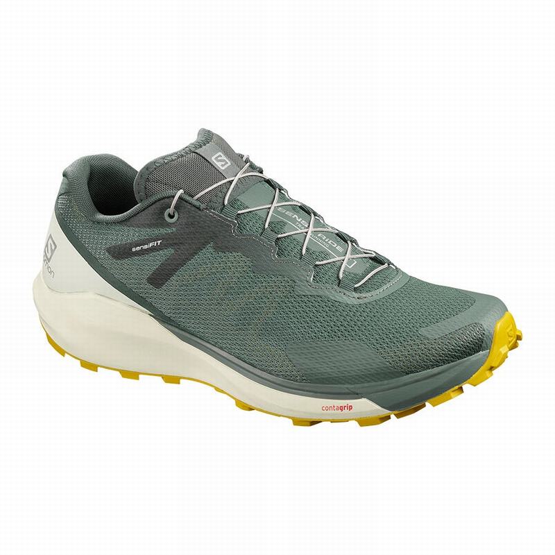 Chaussure Running Salomon SENSE RIDE 3 Homme Vert Olive | EAVZD-5632