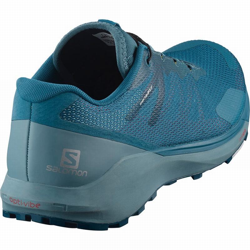 Chaussure Running Salomon SENSE RIDE 3 Homme Bleu | JXYSA-7398