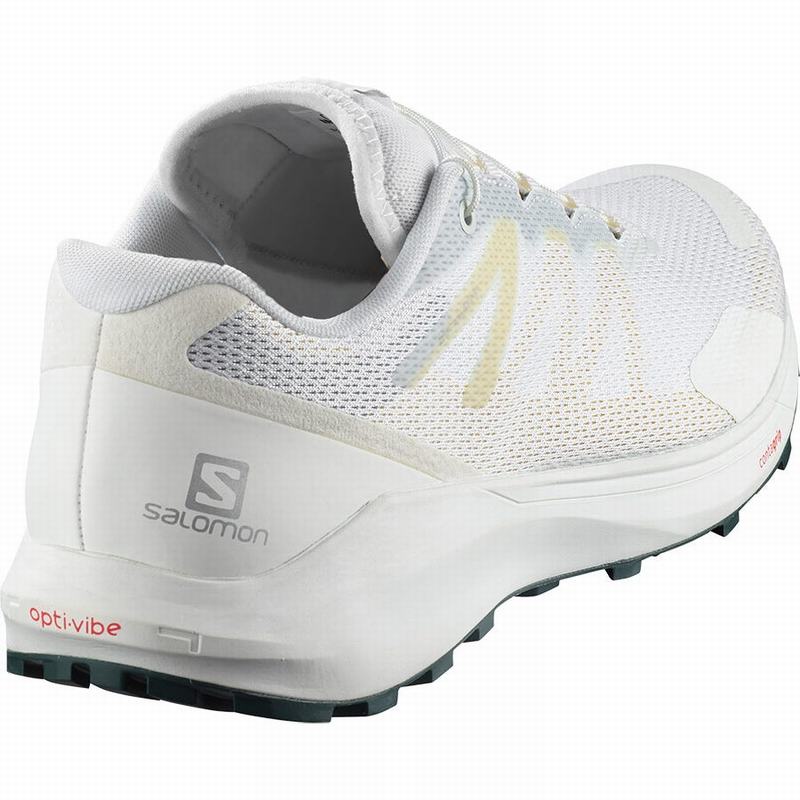 Chaussure Running Salomon SENSE RIDE 3 Homme Blanche | YQVPH-2730