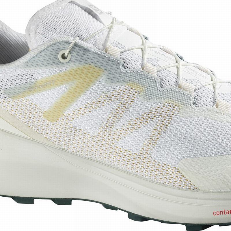 Chaussure Running Salomon SENSE RIDE 3 Homme Blanche | YQVPH-2730