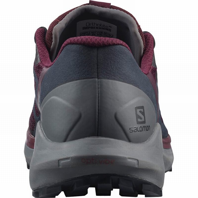 Chaussure Running Salomon SENSE RIDE 4 Femme Bordeaux | KOPJI-9841