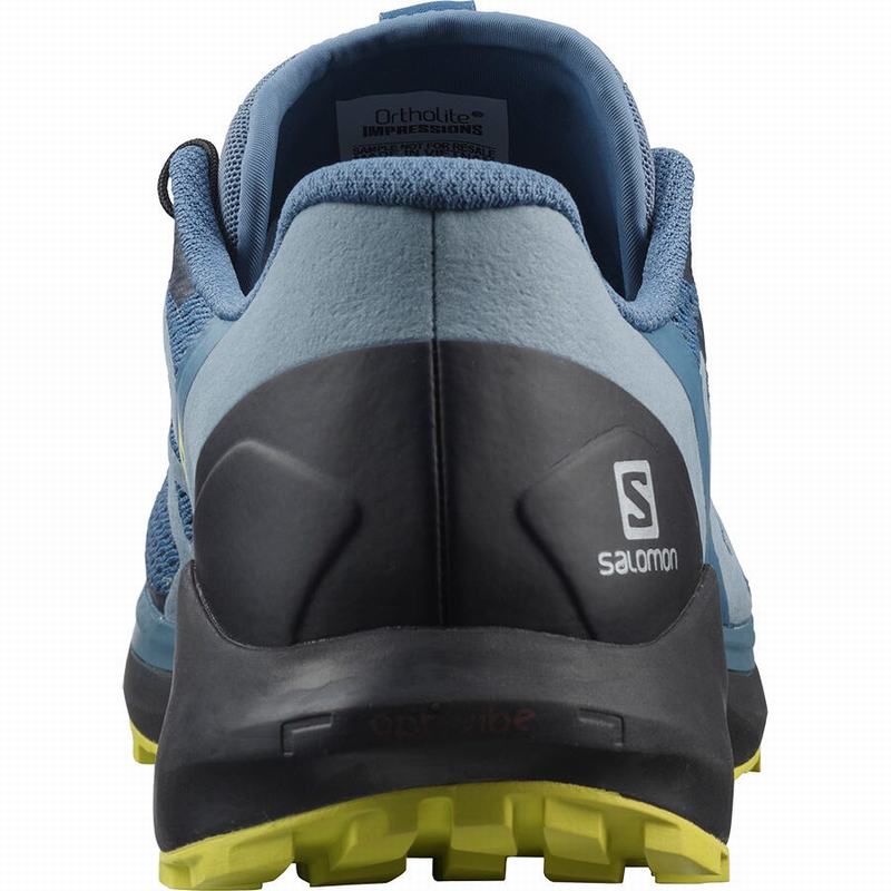 Chaussure Running Salomon SENSE RIDE 4 Homme Bleu Noir | ARSQP-6918