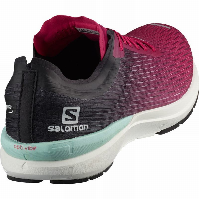 Chaussure Running Salomon SONIC 3 ACCELERATE W Femme Rose Blanche | SZTCV-6204