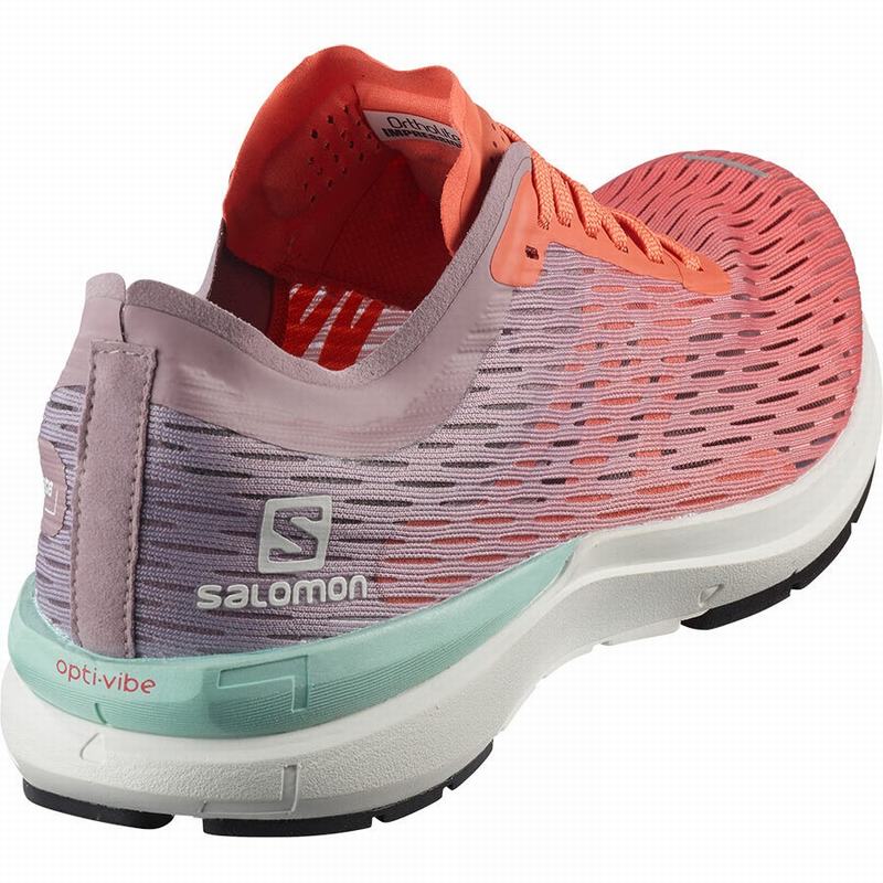 Chaussure Running Salomon SONIC 3 ACCELERATE W Femme Marron Blanche | QIWPV-3172