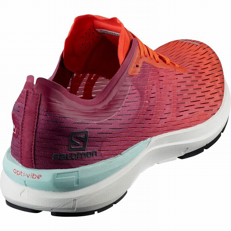 Chaussure Running Salomon SONIC 3 ACCELERATE Homme Rose Blanche | IJXVE-7049