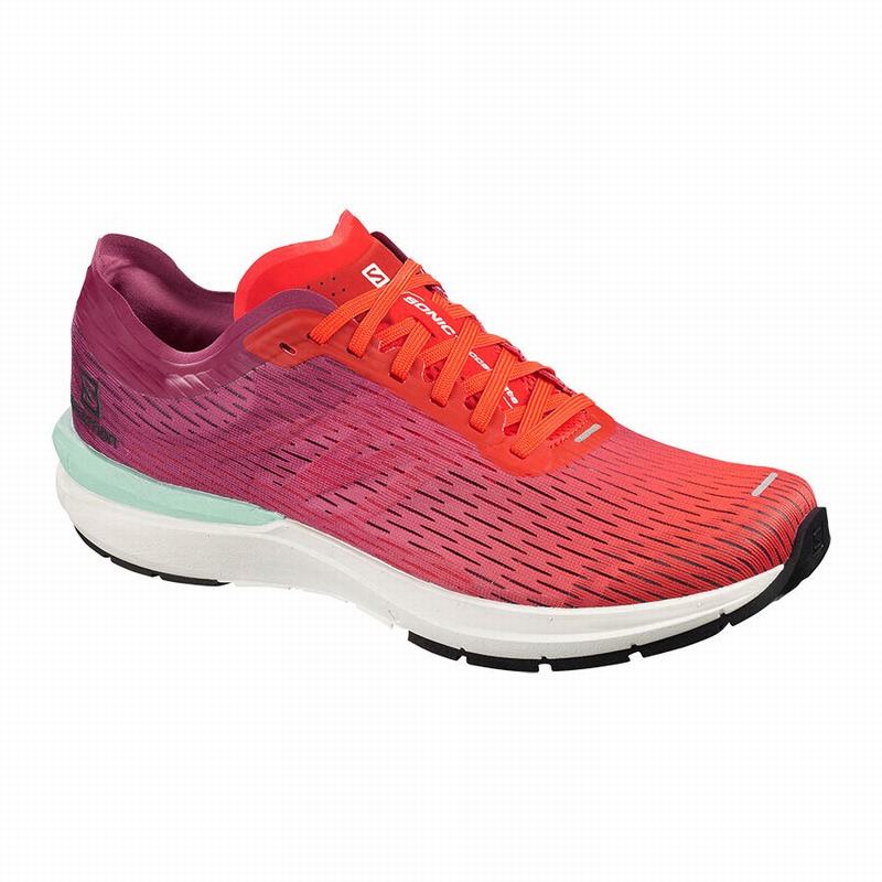 Chaussure Running Salomon SONIC 3 ACCELERATE Homme Rose Blanche | IJXVE-7049