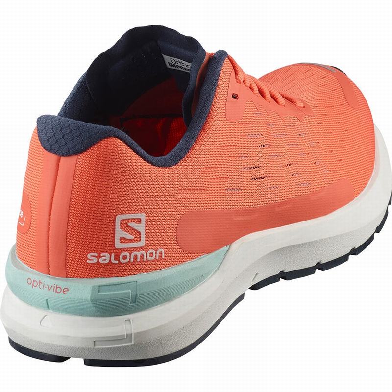 Chaussure Running Salomon SONIC 3 BALANCE W Femme Marron Blanche | GSPYI-9410