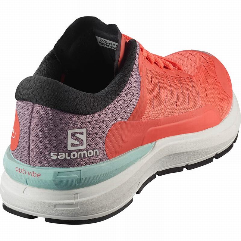 Chaussure Running Salomon SONIC 3 CONFIDENCE W Femme Marron Blanche | POSQN-5702