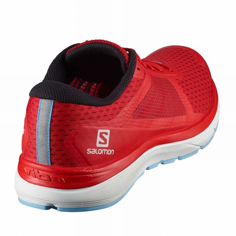 Chaussure Running Salomon VECTUR Homme Rouge | RLGHS-9731