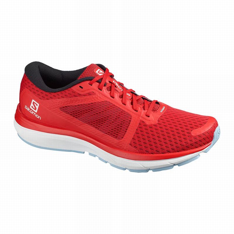 Chaussure Running Salomon VECTUR Homme Rouge | RLGHS-9731