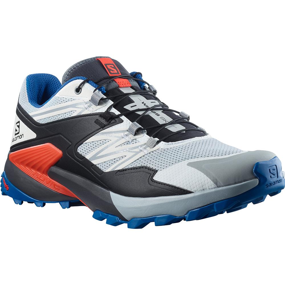 Chaussure Running Salomon WINGS SKY Homme Bleu | HFAIR-6148