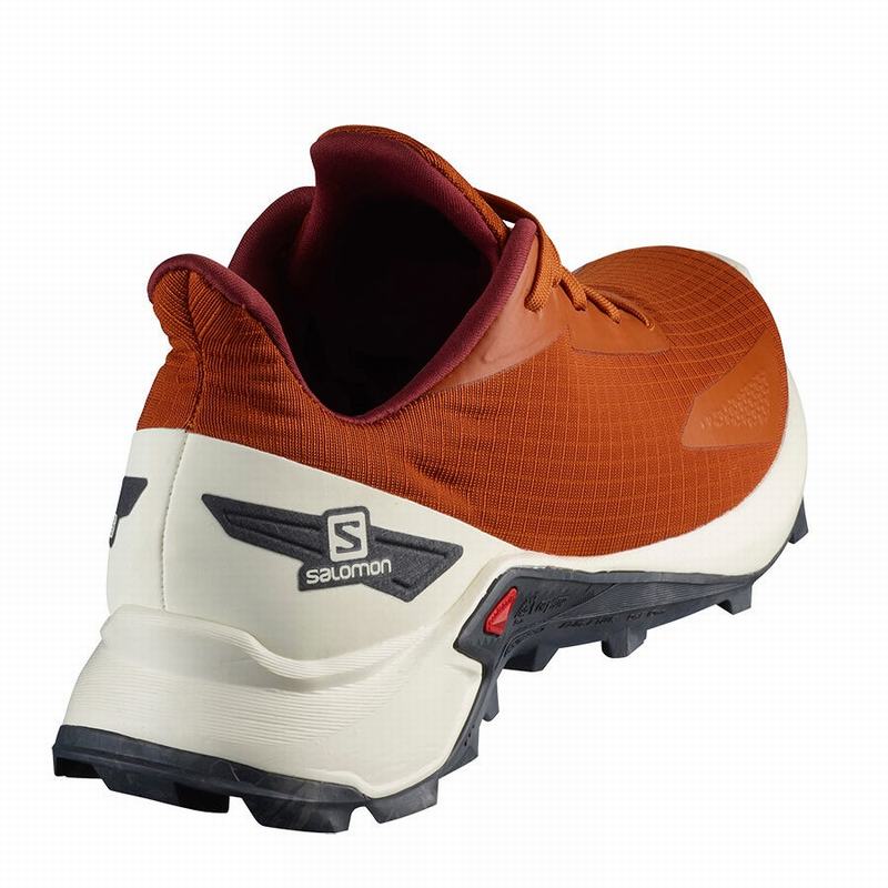 Chaussure Trail Running Salomon ALPHACROSS BLAST Homme Orange | RIDPG-2548