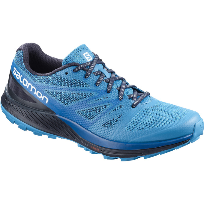 Chaussure Trail Running Salomon SENSE ESE Homme Bleu Bleu Marine | ORQFW-3741