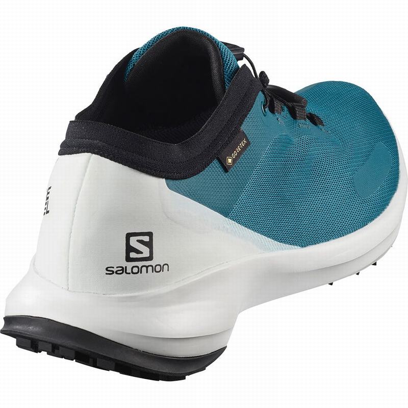 Chaussure Trail Running Salomon SENSE FEEL GTX Homme Bleu | AMXJU-0923