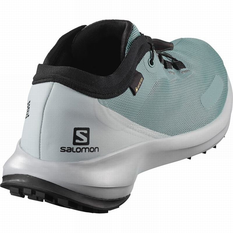 Chaussure Trail Running Salomon SENSE FEEL GTX W Femme Vert Bleu | HWNTV-8126