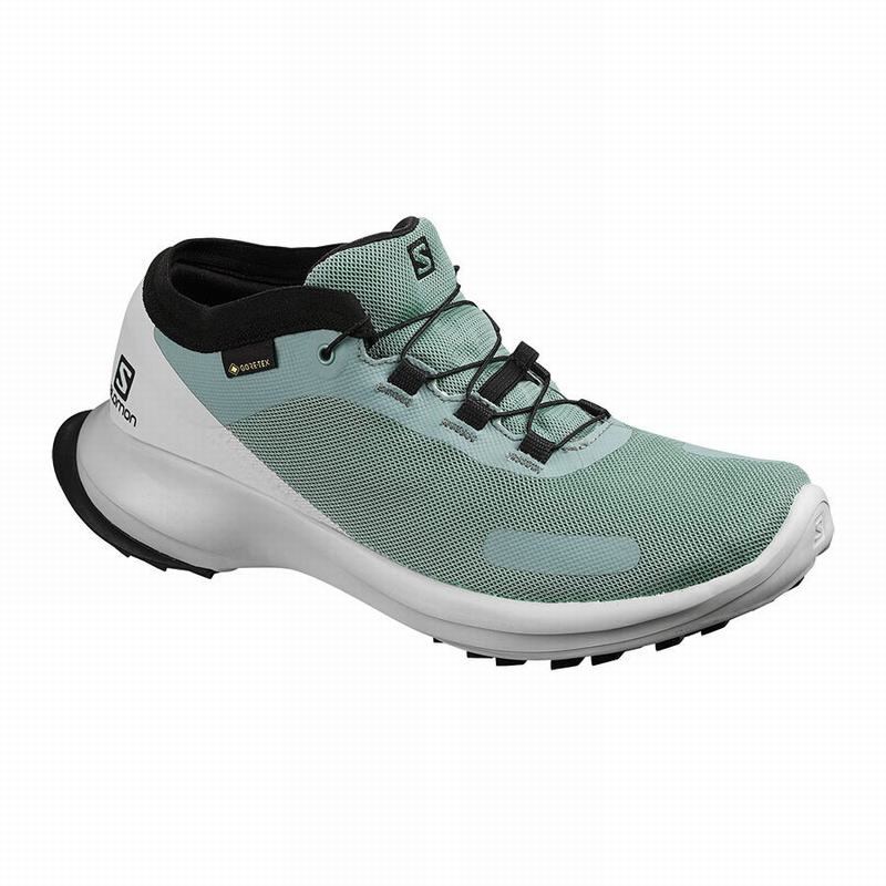 Chaussure Trail Running Salomon SENSE FEEL GTX W Femme Vert Bleu | HWNTV-8126