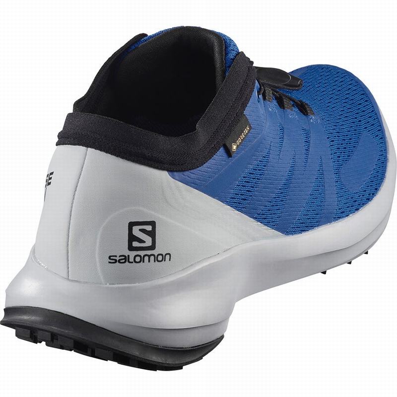 Chaussure Trail Running Salomon SENSE FLOW GTX Homme Bleu | VNYOI-5694