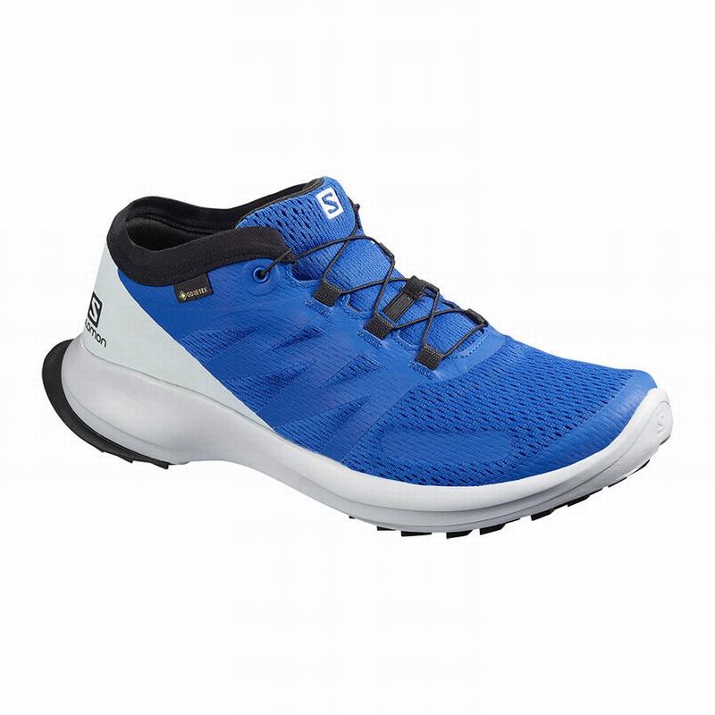 Chaussure Trail Running Salomon SENSE FLOW GTX Homme Bleu | VNYOI-5694